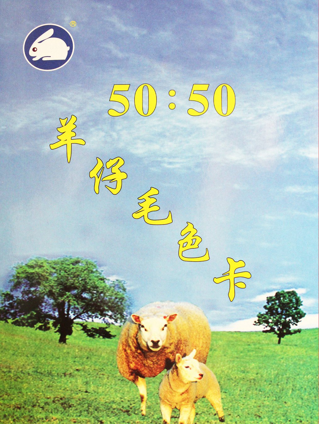 50：50羊仔毛